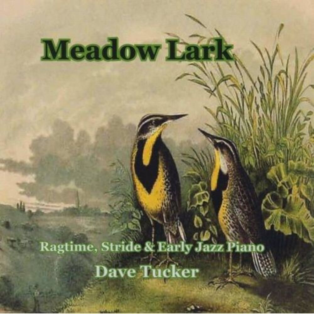 Dave Tucker - Meadow Lark  CD